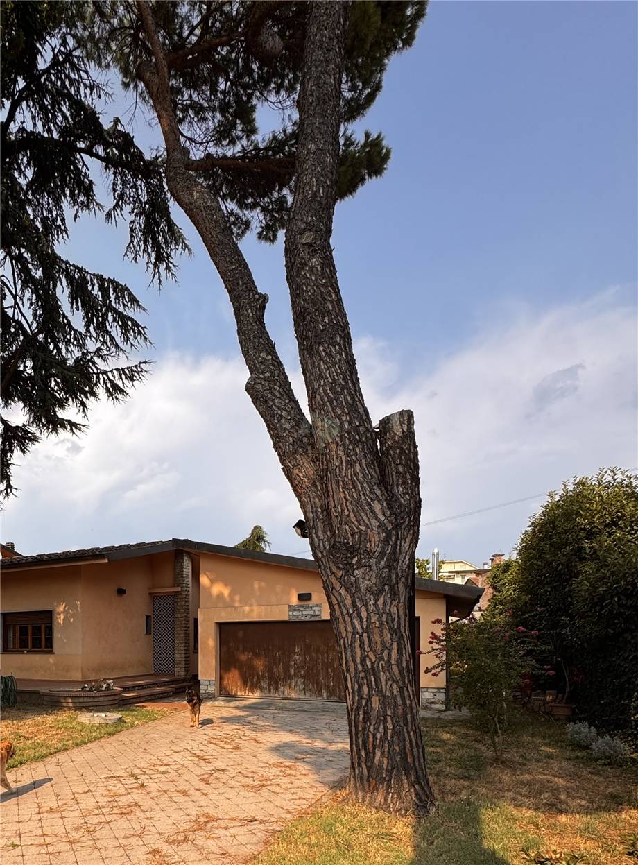 Vendita Villa indipendente Pieve a Nievole  #2508 n.8