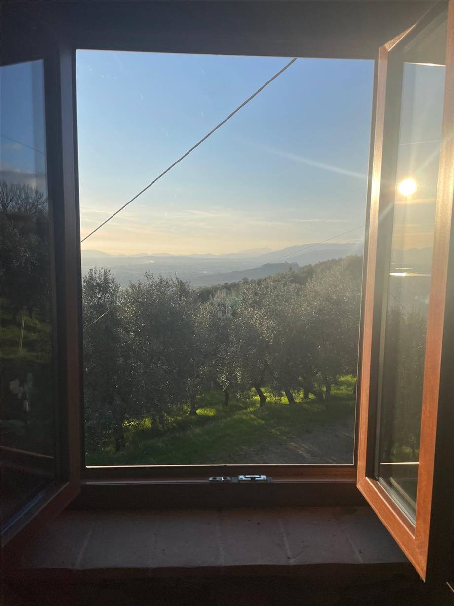 Vendita Rustico/Casa di campagna Larciano  #0707 n.8