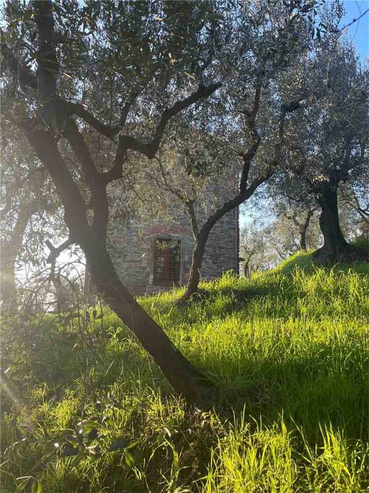 Vendita Rustico/Casa di campagna Larciano  #0707 n.9