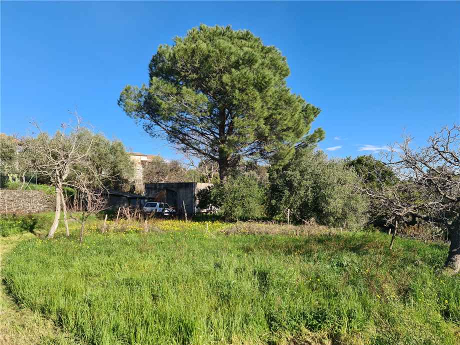 Venta Terreno Santa Venerina  #9 n.6