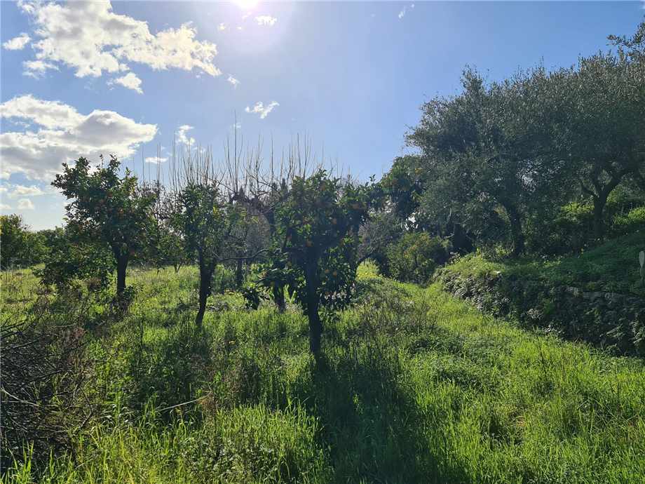 Venta Terreno Santa Venerina  #9 n.7