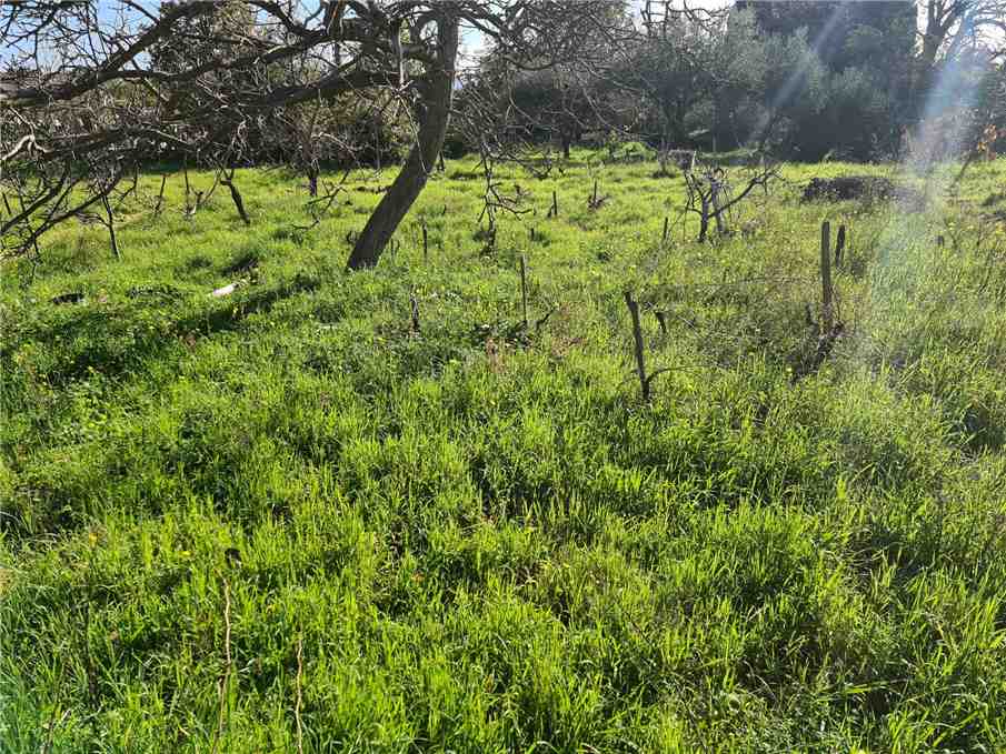 Venta Terreno Santa Venerina  #9 n.9