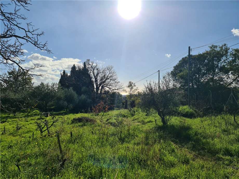 Venta Terreno Santa Venerina  #9 n.10