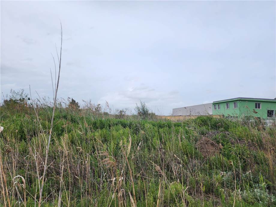 Venta Terreno Catania  #13 n.7