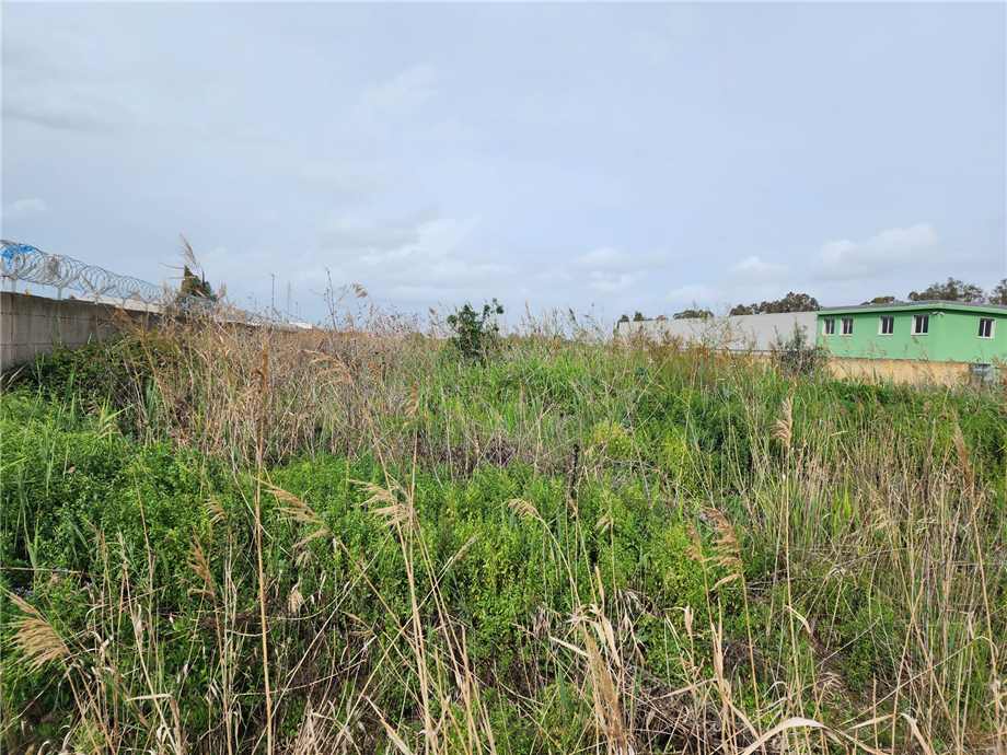 Venta Terreno Catania  #13 n.8