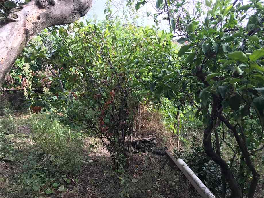 Venta Casa unifamiliar Santa Venerina  #16 n.10