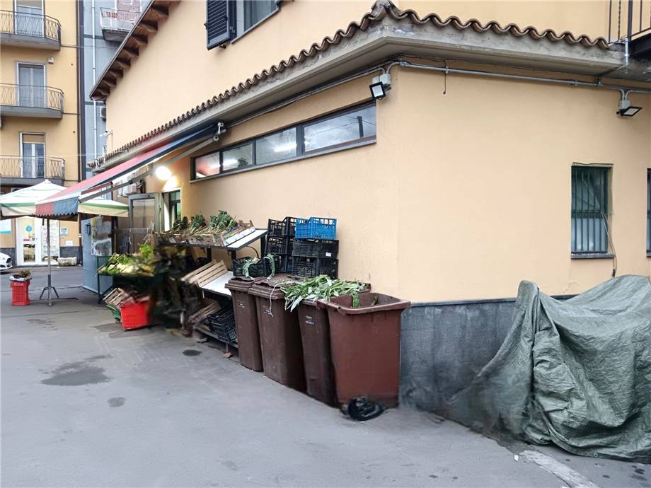 Venta Frutería Catania  #19 n.6