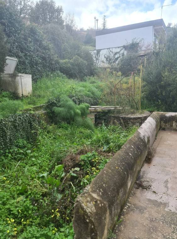 Vendita Terratetto/Terracielo Bronte  #21 n.8