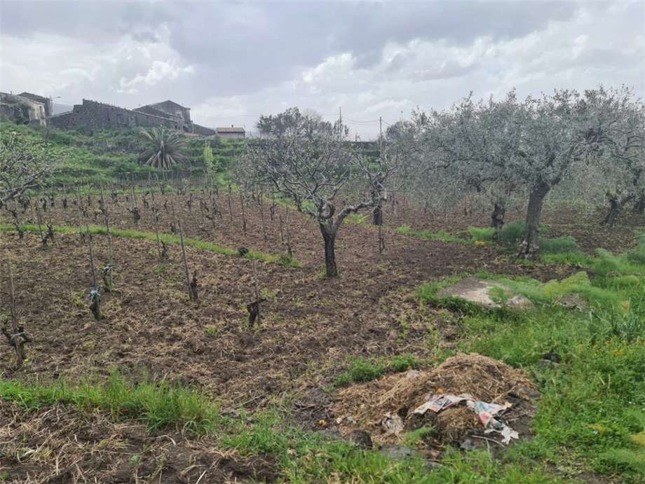 Venta Casa unifamiliar Castiglione di Sicilia  #25 n.9