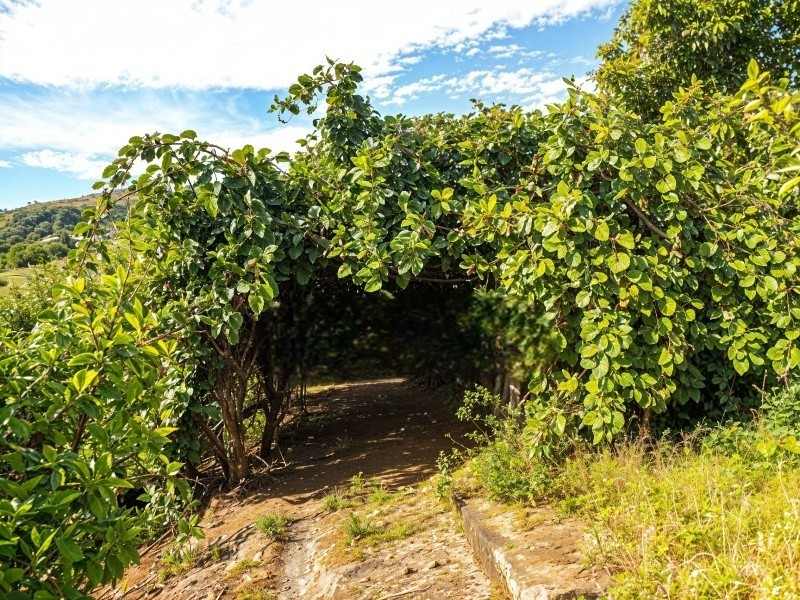 Vendita Casa indipendente Piedimonte Etneo  #35 n.10