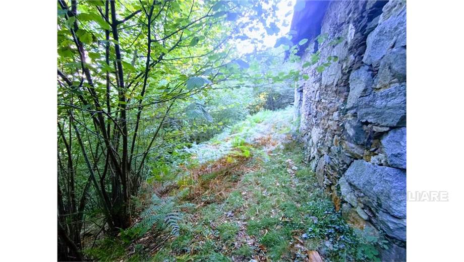 Venta Casa unifamiliar Casale Corte Cerro ARZO #53 n.6