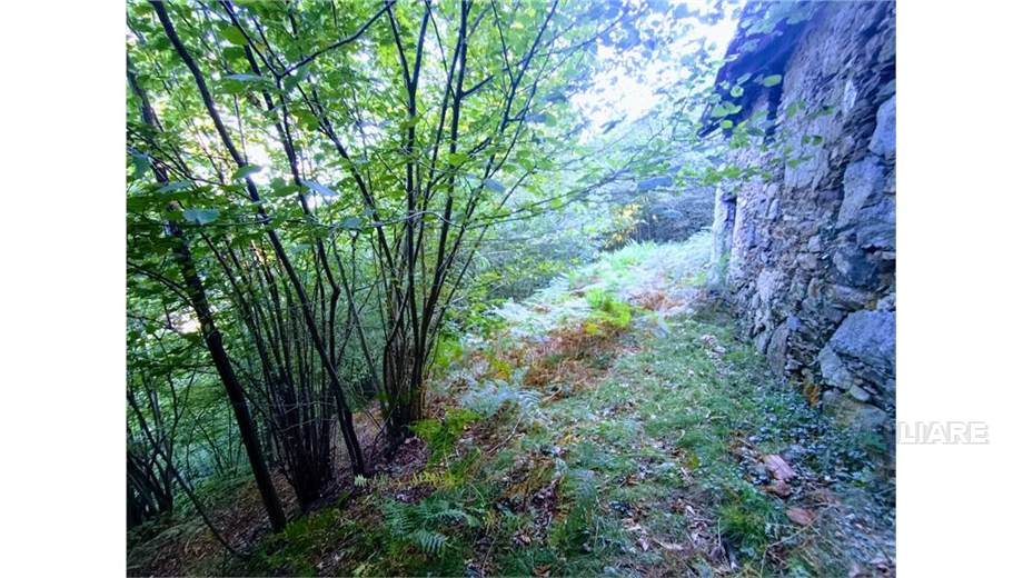 Venta Casa unifamiliar Casale Corte Cerro ARZO #53 n.8