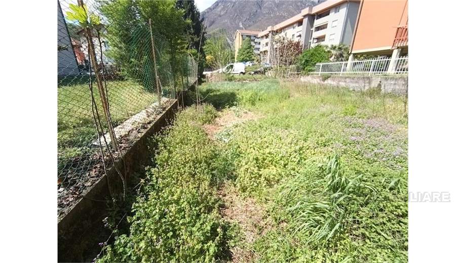 Venta Ruina Domodossola #69 n.6