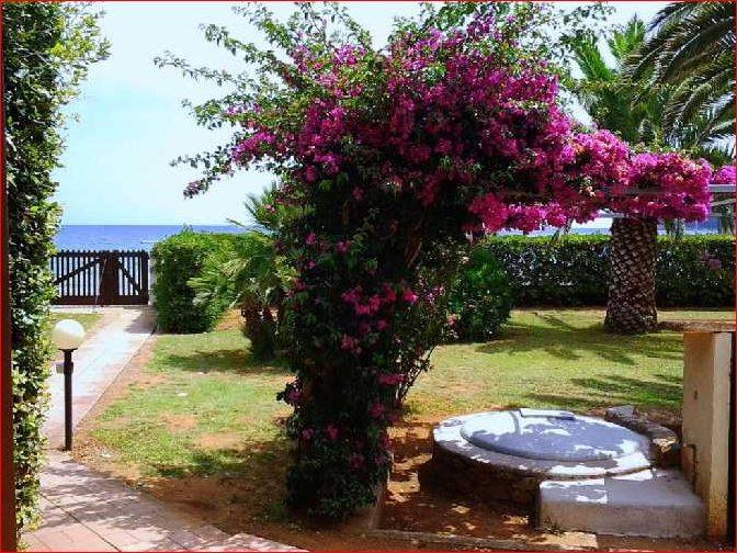 To rent Flat Capoliveri  #CA80 n.8