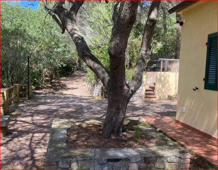 For sale Detached house Porto Azzurro  #PA293 n.13