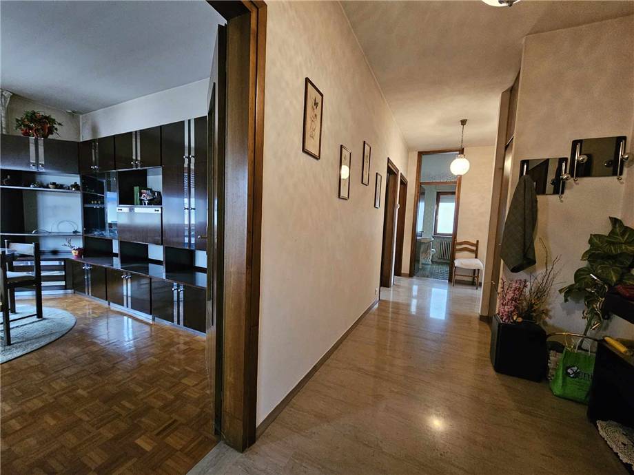 Vendita Villa/Casa singola Belluno  #357 n.20