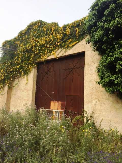 For sale Rural/farmhouse Ventimiglia di Sicilia C.da Traversa #VENT1 n.6