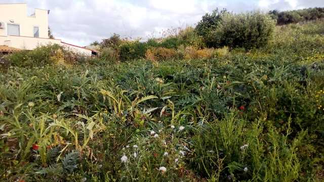 Venta Terreno edificable Santa Flavia Santa Flavia - C.da Accia #SF3 n.6