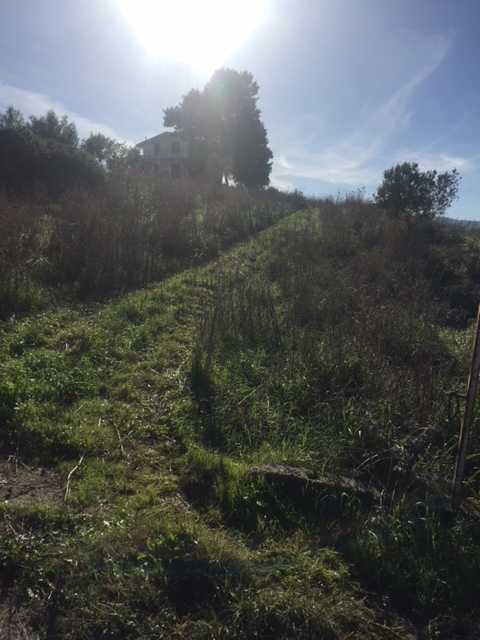 Vendita Terreno edificabile Ventimiglia di Sicilia C.da Traversa #VENT3 n.11