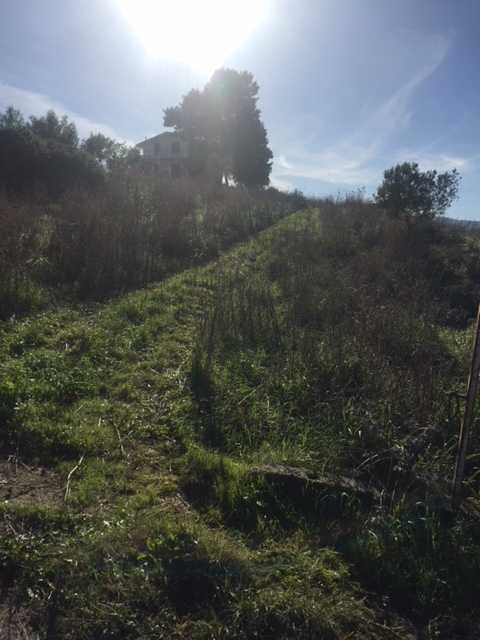 Venta Terreno edificable Ventimiglia di Sicilia C.da Traversa #VENT3 n.11