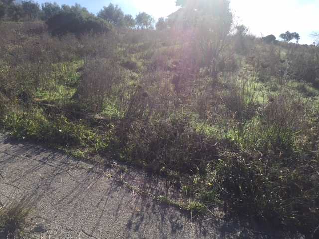 Venta Terreno edificable Ventimiglia di Sicilia C.da Traversa #VENT3 n.12