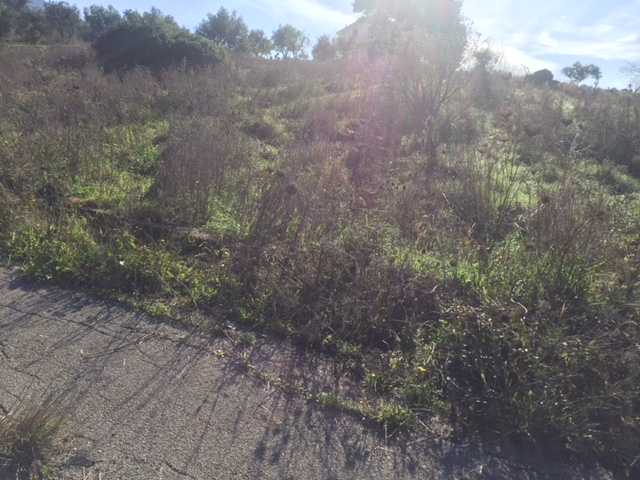 Venta Terreno edificable Ventimiglia di Sicilia C.da Traversa #VENT3 n.14
