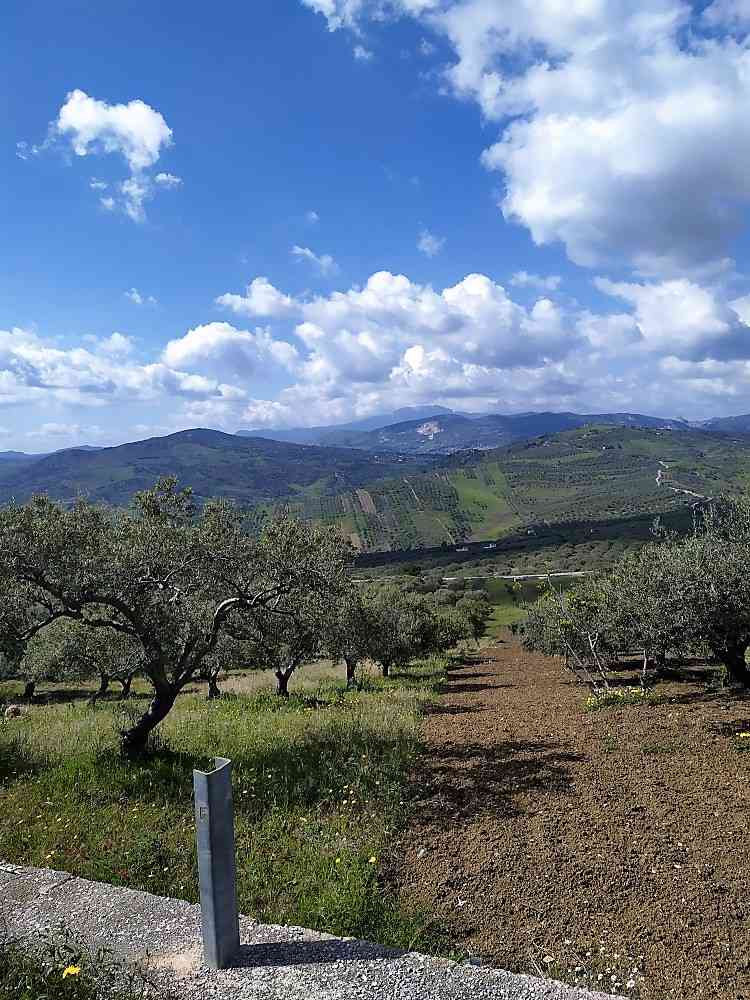 Venta Terreno Ventimiglia di Sicilia C.da Traversa #CA422 n.8
