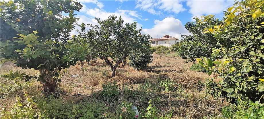 Venta Terreno agrícola Santa Flavia Santa Flavia - C.da Accia #SF11 n.10