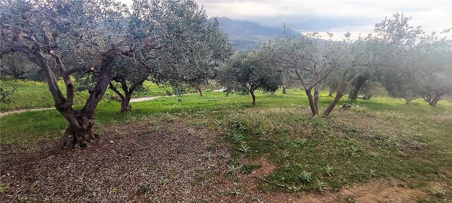 Venta Terreno agrícola Casteldaccia Vallecorvo / Sp61 #CA481 n.6