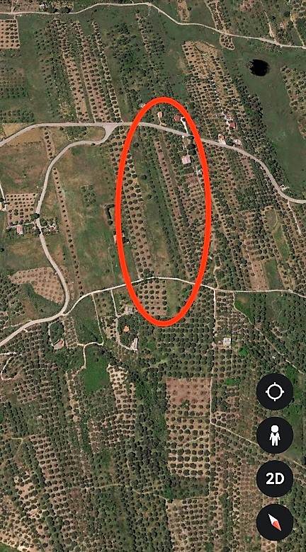 Venta Terreno agrícola Casteldaccia Vallecorvo / Sp61 #CA481 n.9