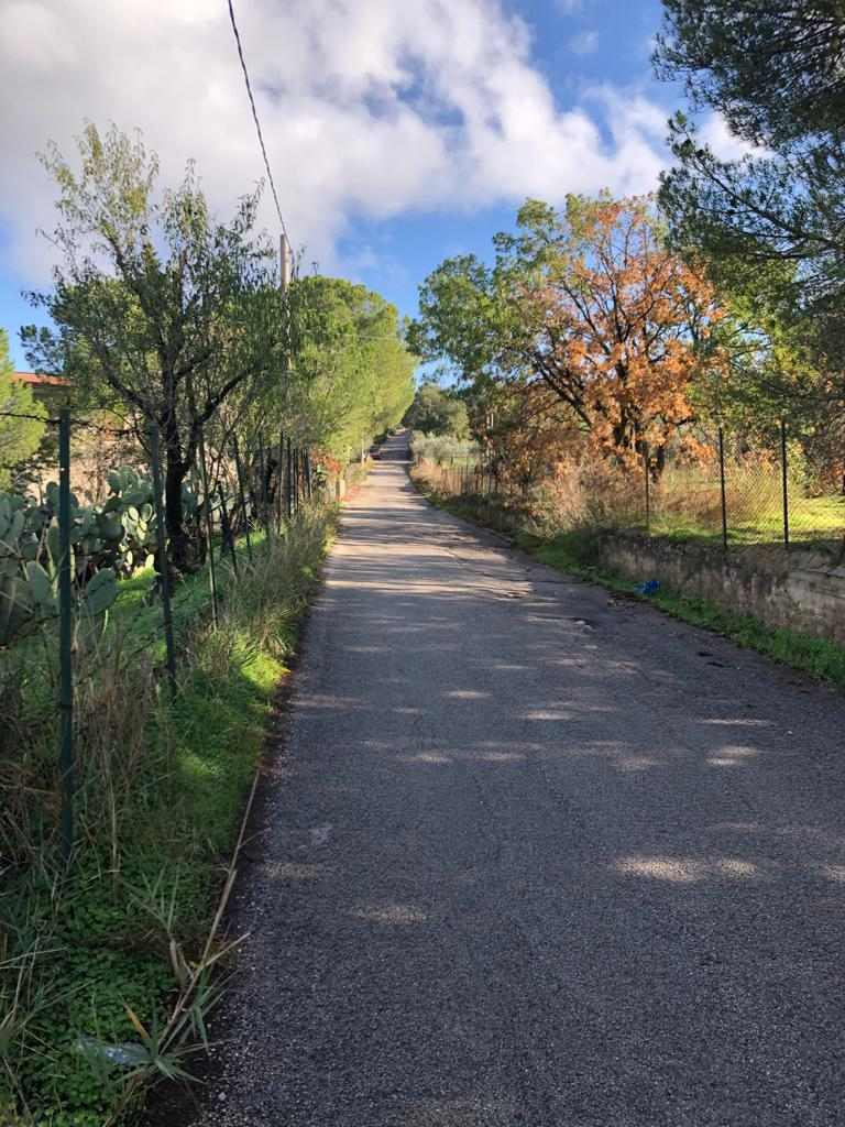 For sale Single-family Villa Bolognetta  #BO2 n.12