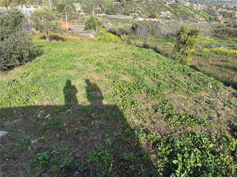 For sale Terraced house Casteldaccia Fiorilli - Ferrante #CA544 n.13