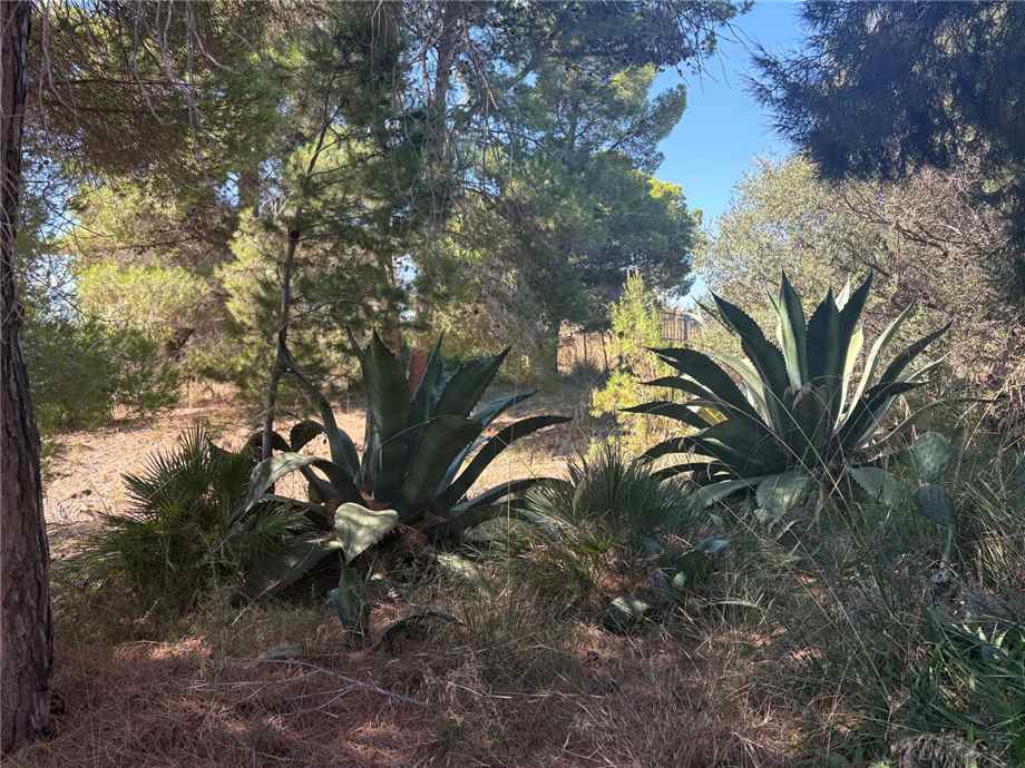 Vendita Bungalow Casteldaccia Vallecorvo / Sp61 #CA579 n.10