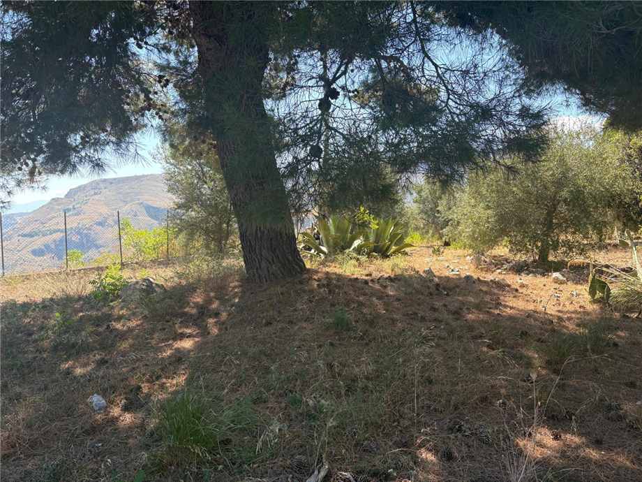 Vendita Bungalow Casteldaccia Vallecorvo / Sp61 #CA579 n.11