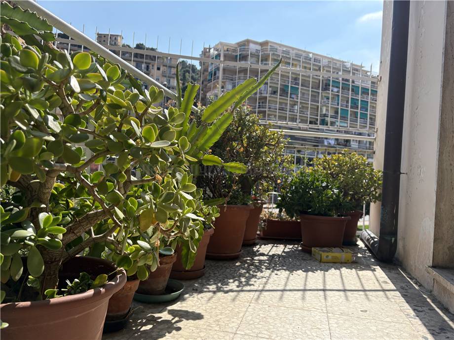 Vendita Appartamento Sanremo via  Agosti #2233 n.16