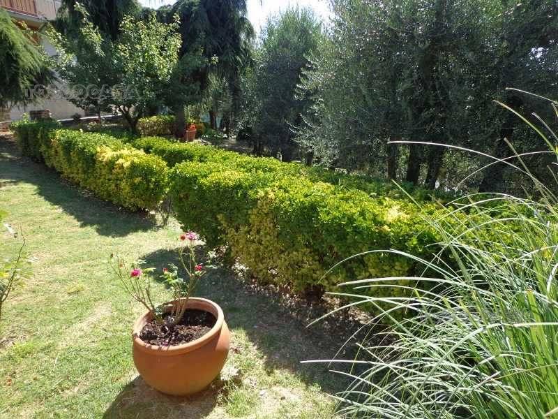 Venta Appartamento Fucecchio  #1263 n.10