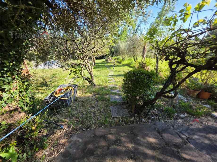 Venta Terratetto/Terracielo Cerreto Guidi  #1013 n.10