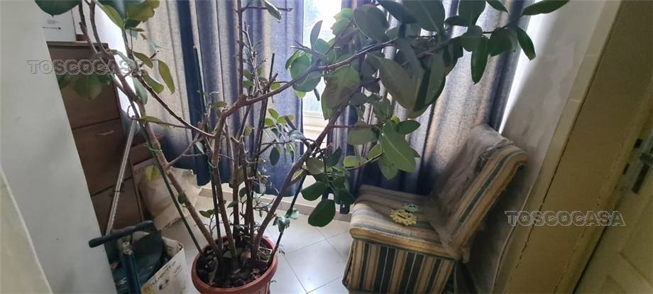 For sale Apartment Fucecchio  #1156 n.10