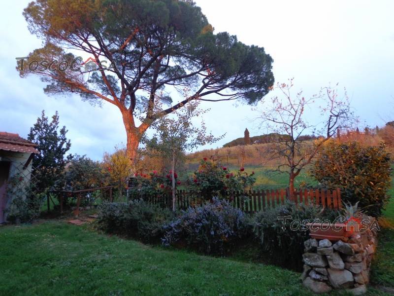 Venta Terratetto/Terracielo Fucecchio  #1312 n.10