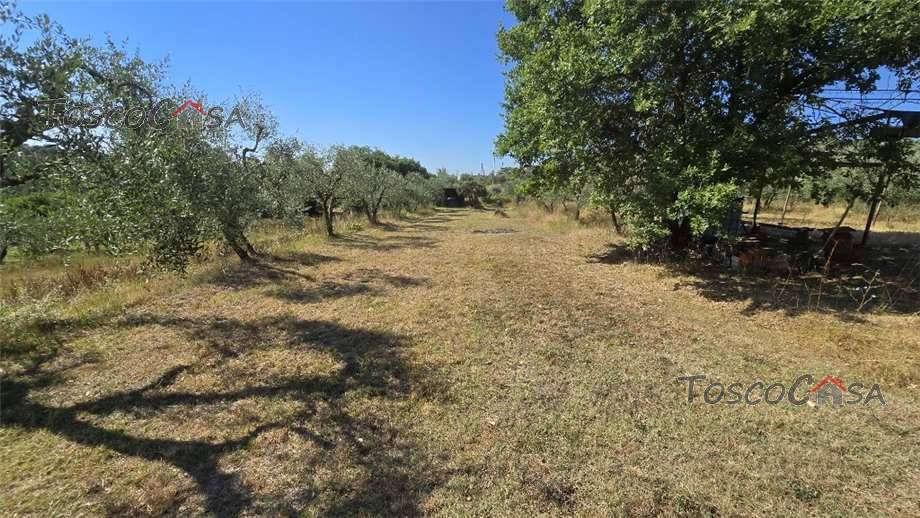 Vendita Terratetto/Terracielo Fucecchio  #1042 n.10