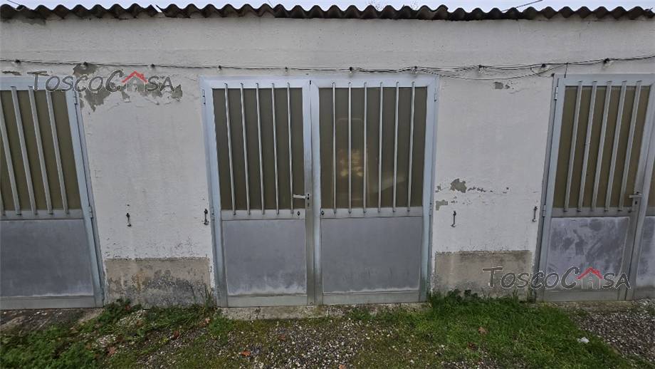 Vendita Appartamento San Miniato  #1019 n.10