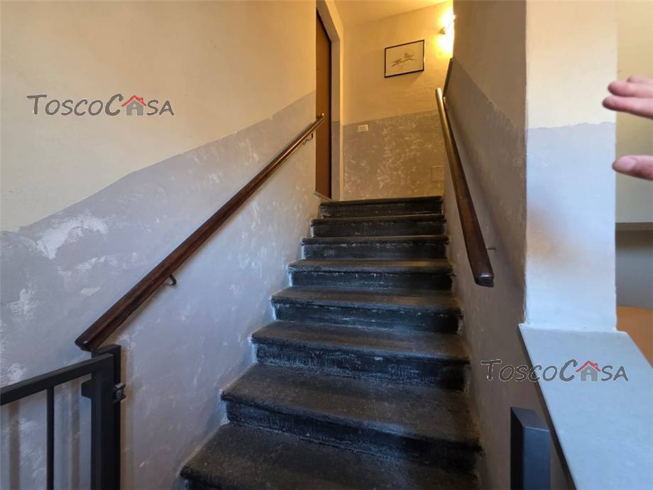 To rent Apartment Fucecchio  #l71b n.10