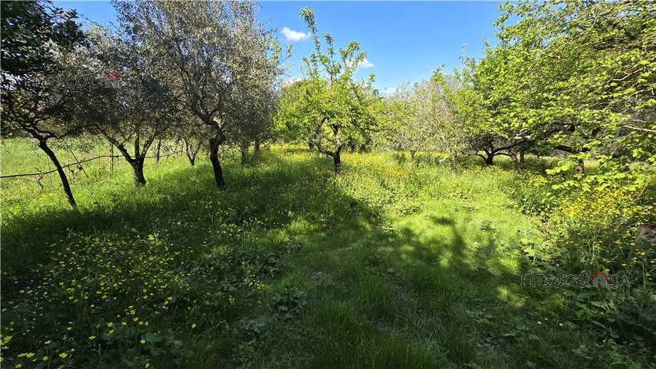 Vendita Terreno agricolo Empoli  #TA101 n.9