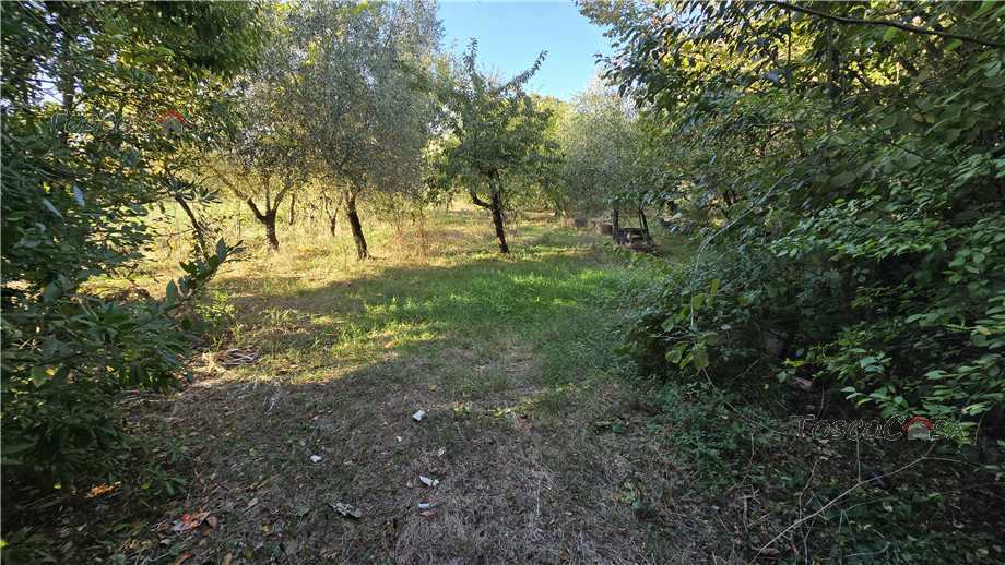 Vendita Terreno agricolo Empoli  #TA101 n.10