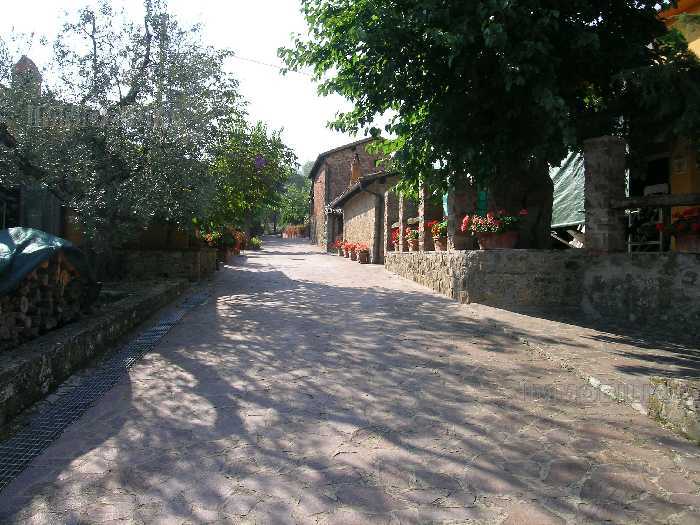 Vendita Azienda Agricola Laterina Pergine Valdarno PERGINE VALDARNO #275 n.6