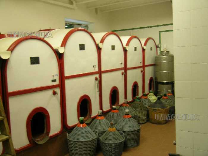 Vendita Azienda Agricola Laterina Pergine Valdarno PERGINE VALDARNO #275 n.8