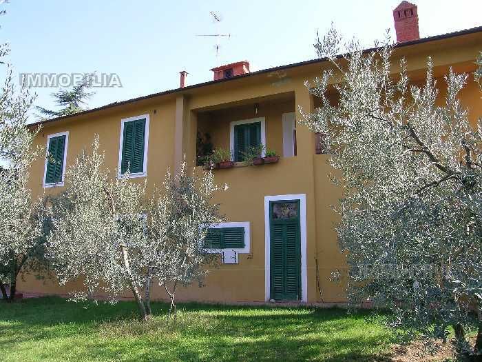 Vendita Azienda Agricola Laterina Pergine Valdarno PERGINE VALDARNO #275 n.9