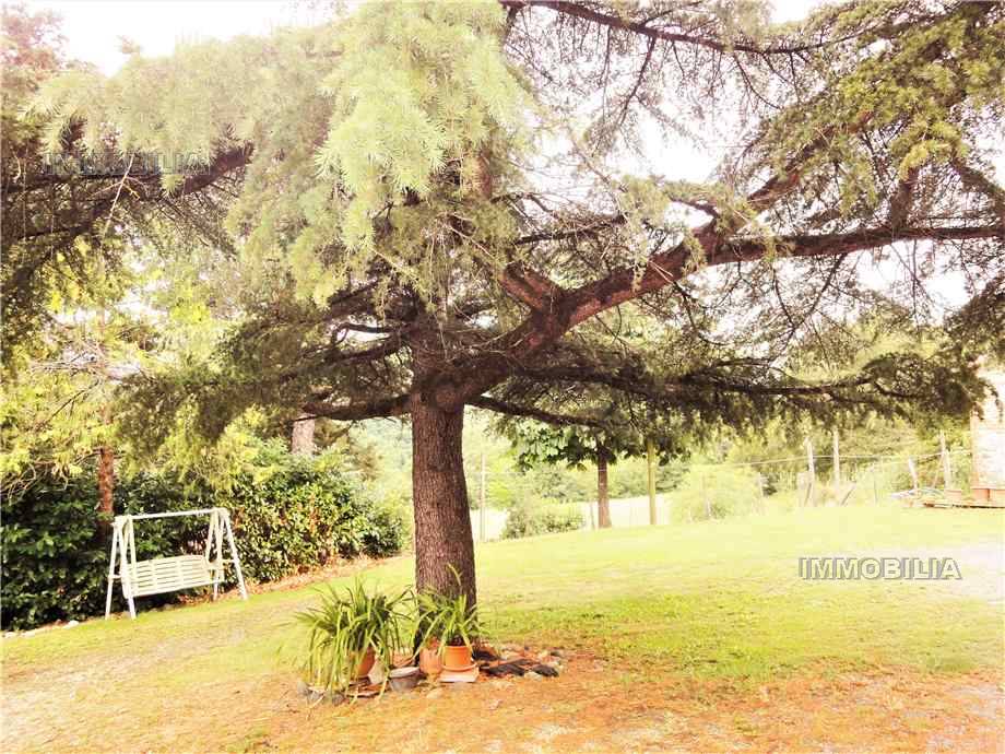 For sale Rural/farmhouse Anghiari  #444 n.10