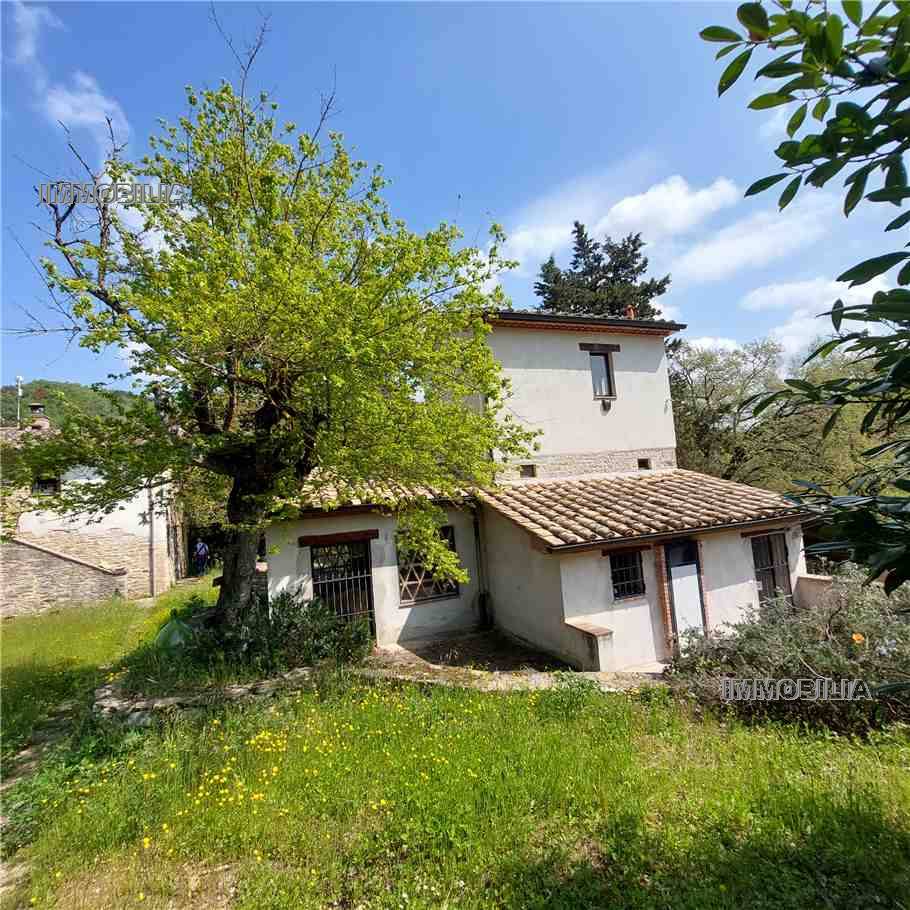 For sale Rural/farmhouse Montone  #519 n.16