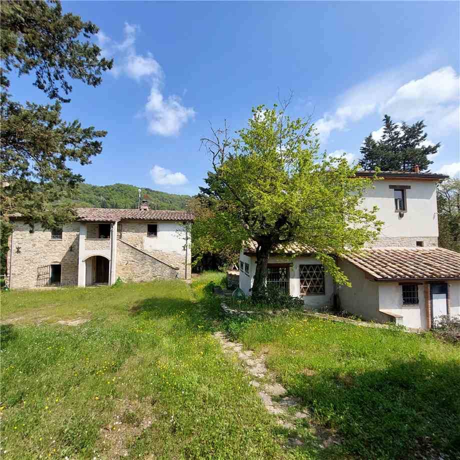 For sale Rural/farmhouse Montone  #519 n.17